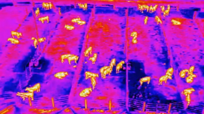 security_thermal Drone Security